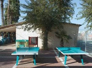 Rishonim Elementary School, Ness Ziona, Israel, January 2013